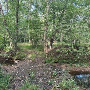 Photo #13 of  799 Sunnyside Rd , Arvonia, VA 140.0 acres
