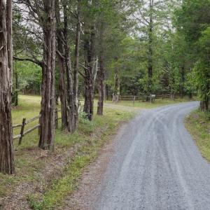 Photo #14 of  799 Sunnyside Rd , Arvonia, VA 140.0 acres