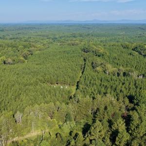 Photo #15 of  799 Sunnyside Rd , Arvonia, VA 140.0 acres