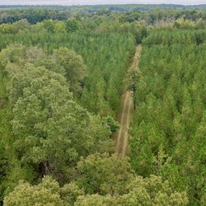 Photo #18 of  799 Sunnyside Rd , Arvonia, VA 140.0 acres