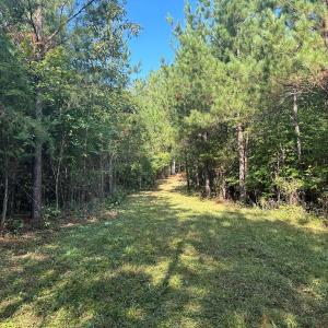 Photo #20 of  799 Sunnyside Rd , Arvonia, VA 140.0 acres