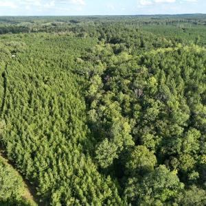 Photo #23 of  799 Sunnyside Rd , Arvonia, VA 140.0 acres