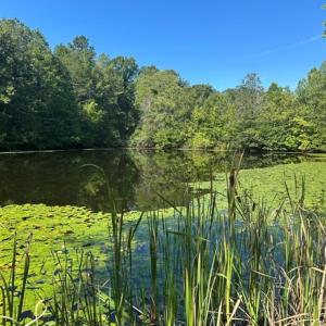 Photo #25 of  799 Sunnyside Rd , Arvonia, VA 140.0 acres