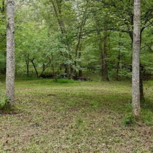 Photo #28 of  799 Sunnyside Rd , Arvonia, VA 140.0 acres