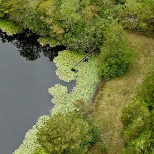 Photo #29 of  799 Sunnyside Rd , Arvonia, VA 140.0 acres
