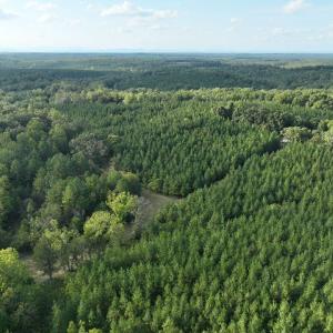 Photo #30 of  799 Sunnyside Rd , Arvonia, VA 140.0 acres