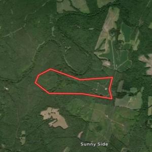 Photo #4 of  799 Sunnyside Rd , Arvonia, VA 140.0 acres