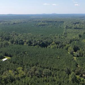 Photo #5 of  799 Sunnyside Rd , Arvonia, VA 140.0 acres