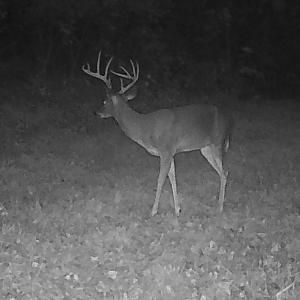 Photo #9 of  799 Sunnyside Rd , Arvonia, VA 140.0 acres