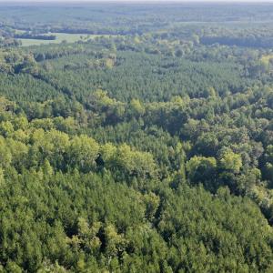 Photo #34 of  799 Sunnyside Rd , Arvonia, VA 140.0 acres