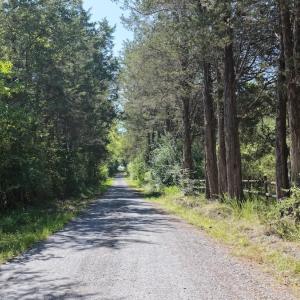 Photo #35 of  799 Sunnyside Rd , Arvonia, VA 140.0 acres