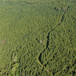 Photo #36 of  799 Sunnyside Rd , Arvonia, VA 140.0 acres