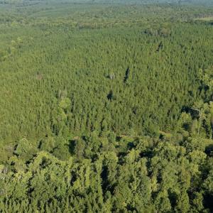Photo #37 of  799 Sunnyside Rd , Arvonia, VA 140.0 acres