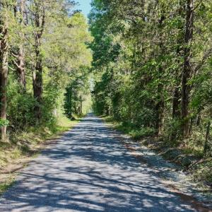 Photo #38 of  799 Sunnyside Rd , Arvonia, VA 140.0 acres