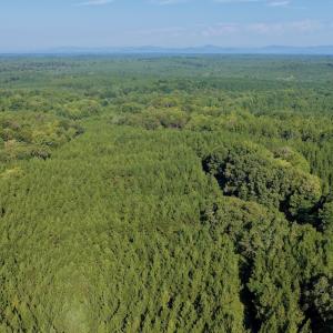 Photo #39 of  799 Sunnyside Rd , Arvonia, VA 140.0 acres