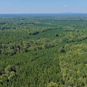 Photo #40 of  799 Sunnyside Rd , Arvonia, VA 140.0 acres