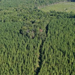 Photo #44 of  799 Sunnyside Rd , Arvonia, VA 140.0 acres