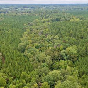 Photo #47 of  799 Sunnyside Rd , Arvonia, VA 140.0 acres