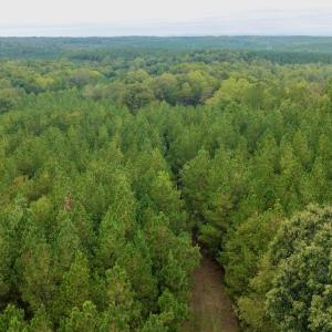 Photo #49 of  799 Sunnyside Rd , Arvonia, VA 140.0 acres