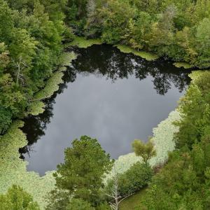 Photo #51 of  799 Sunnyside Rd , Arvonia, VA 140.0 acres