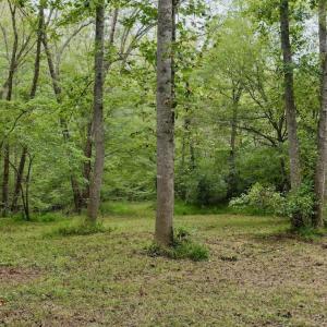 Photo #45 of  799 Sunnyside Rd , Arvonia, VA 140.0 acres