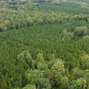 Photo #52 of  799 Sunnyside Rd , Arvonia, VA 140.0 acres