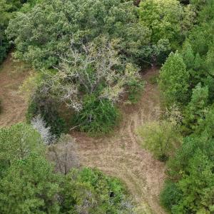 Photo #53 of  799 Sunnyside Rd , Arvonia, VA 140.0 acres