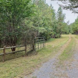 Photo #54 of  799 Sunnyside Rd , Arvonia, VA 140.0 acres