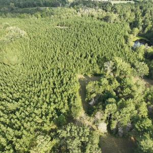 Photo #56 of  799 Sunnyside Rd , Arvonia, VA 140.0 acres