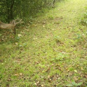 Photo #57 of  799 Sunnyside Rd , Arvonia, VA 140.0 acres
