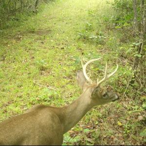 Photo #61 of  799 Sunnyside Rd , Arvonia, VA 140.0 acres
