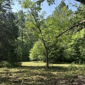 Photo #65 of  799 Sunnyside Rd , Arvonia, VA 140.0 acres