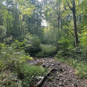 Photo #66 of  799 Sunnyside Rd , Arvonia, VA 140.0 acres