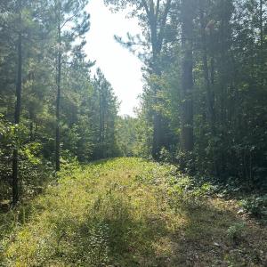 Photo #67 of  799 Sunnyside Rd , Arvonia, VA 140.0 acres