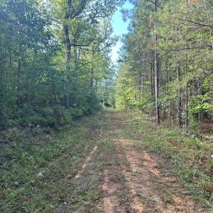 Photo #68 of  799 Sunnyside Rd , Arvonia, VA 140.0 acres