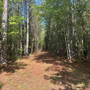 Photo #69 of  799 Sunnyside Rd , Arvonia, VA 140.0 acres