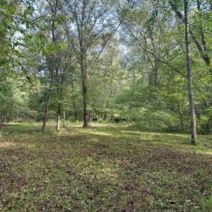 Photo #71 of  799 Sunnyside Rd , Arvonia, VA 140.0 acres