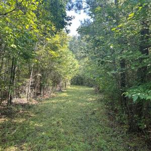 Photo #72 of  799 Sunnyside Rd , Arvonia, VA 140.0 acres