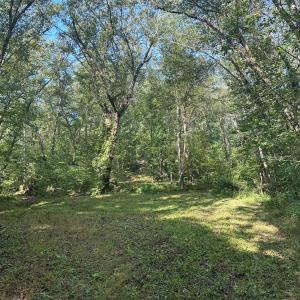 Photo #74 of  799 Sunnyside Rd , Arvonia, VA 140.0 acres