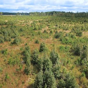 Photo #10 of Off of Saxis Road , Temperanceville, VA 193.0 acres