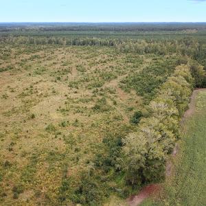 Photo #12 of Off of Saxis Road , Temperanceville, VA 193.0 acres