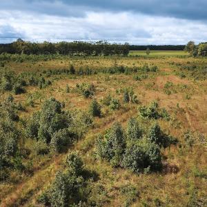 Photo #16 of Off of Saxis Road , Temperanceville, VA 193.0 acres