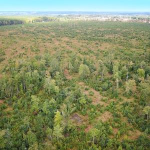 Photo #18 of Off of Saxis Road , Temperanceville, VA 193.0 acres