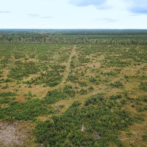 Photo #1 of Off of Saxis Road , Temperanceville, VA 193.0 acres
