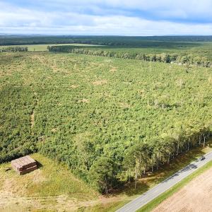 Photo #2 of Off of Saxis Road , Temperanceville, VA 193.0 acres