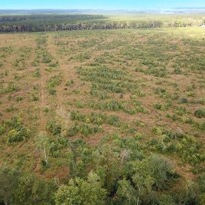 Photo #3 of Off of Saxis Road , Temperanceville, VA 193.0 acres