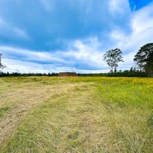 Photo #4 of Off of Saxis Road , Temperanceville, VA 193.0 acres