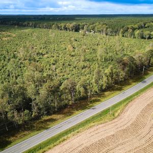 Photo #5 of Off of Saxis Road , Temperanceville, VA 193.0 acres