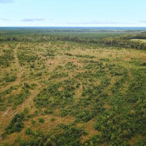 Photo #8 of Off of Saxis Road , Temperanceville, VA 193.0 acres