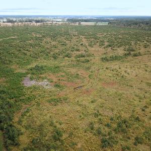 Photo #9 of Off of Saxis Road , Temperanceville, VA 193.0 acres